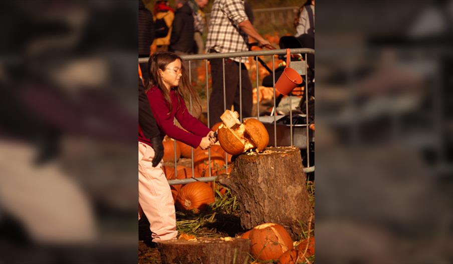 Rogate Pumpkin SMASH!