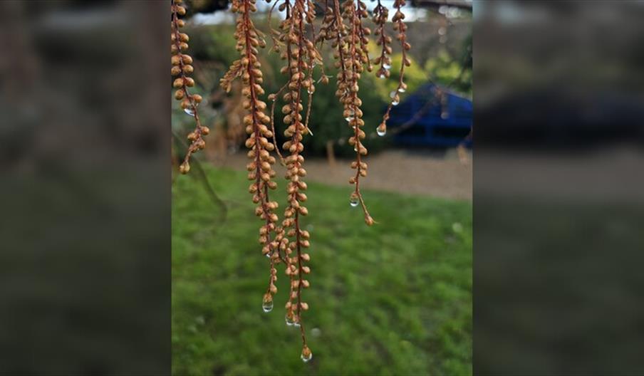 A Nature Connection Experience