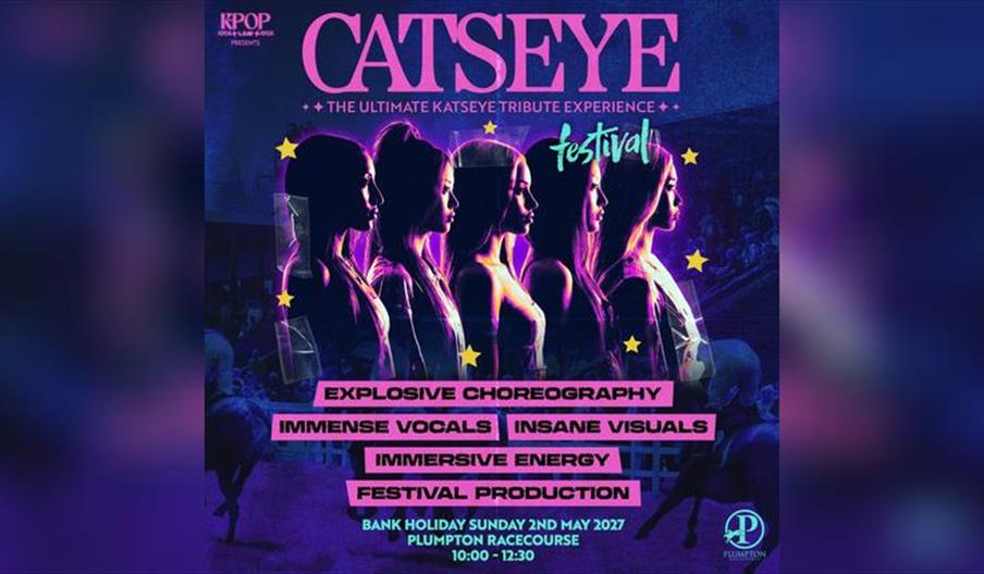 Catseye Plumpton Racecourse