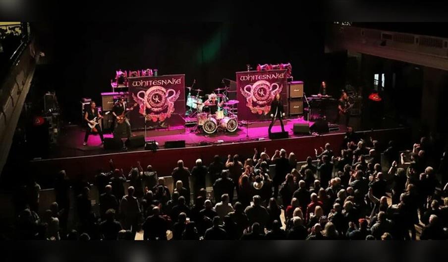 Whitesnake UK
