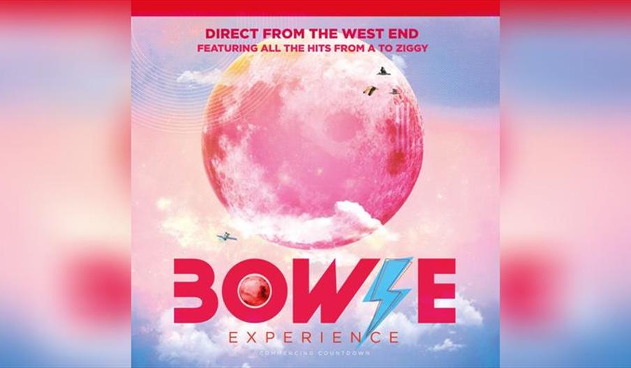 Bowie Experience