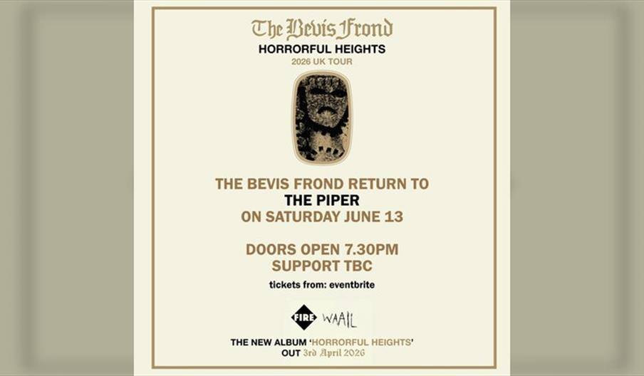 The Bevis Frond - Full Band