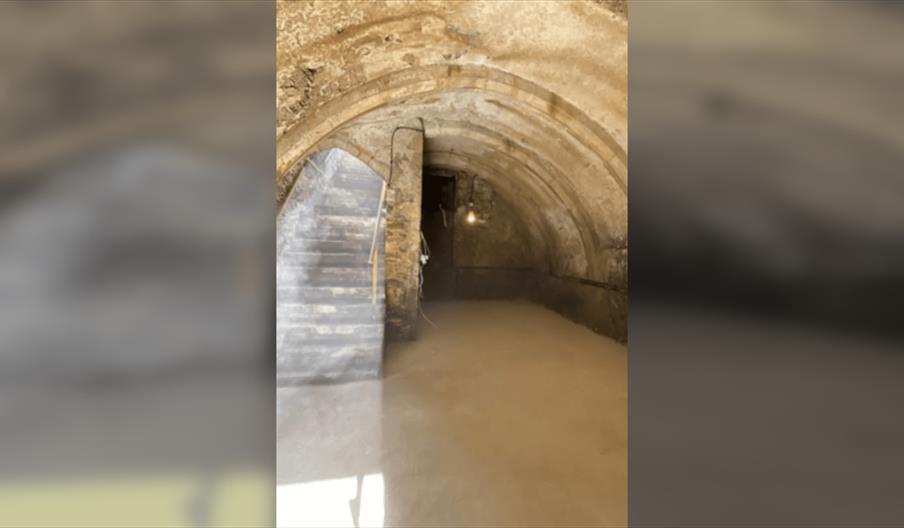 Cellar Tour