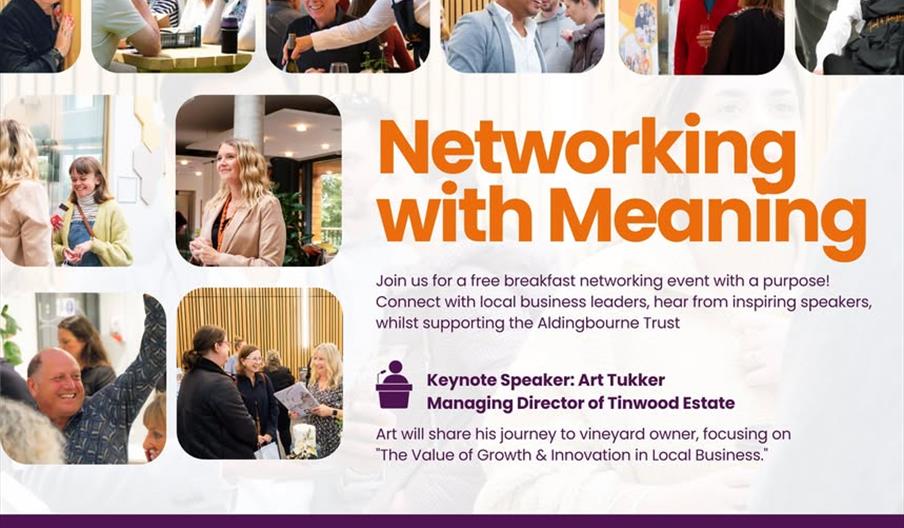 Graphic with title Networking with Meaning