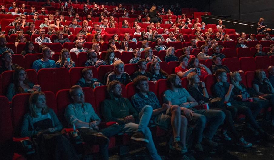 People sitting in a film cinema