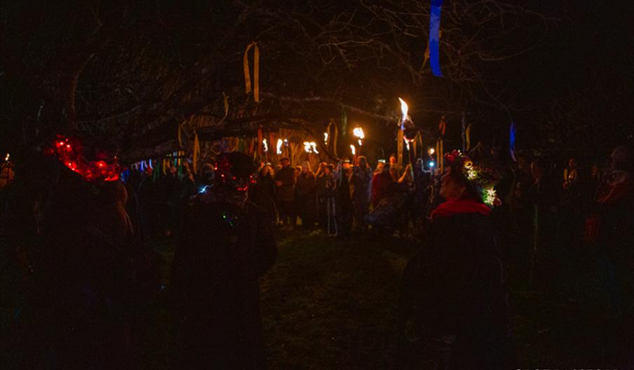 Traditional Tudor Wassail