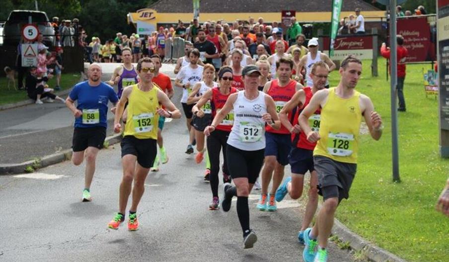 Rye Half Marathon & 10k