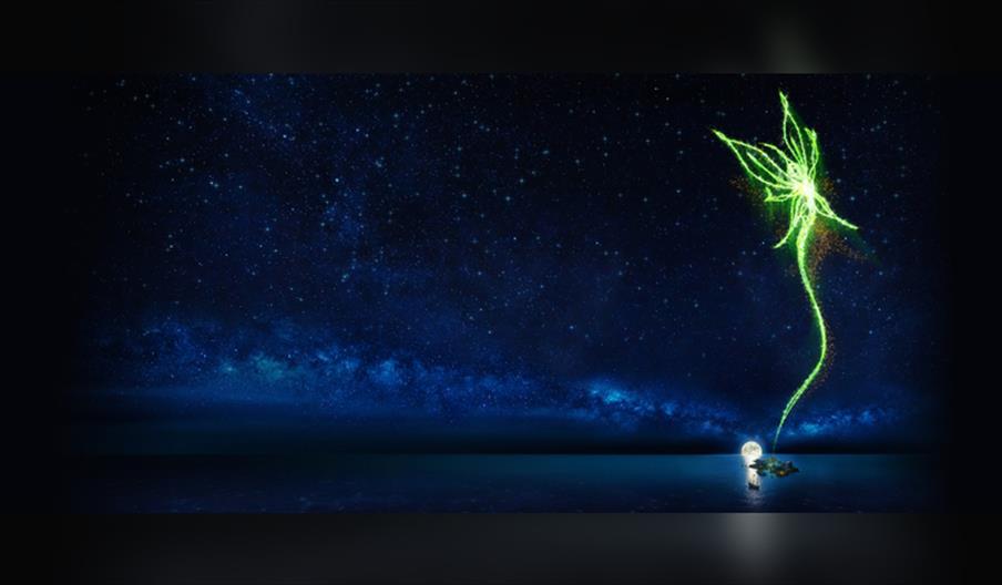 Peter Pan - a musical adventure