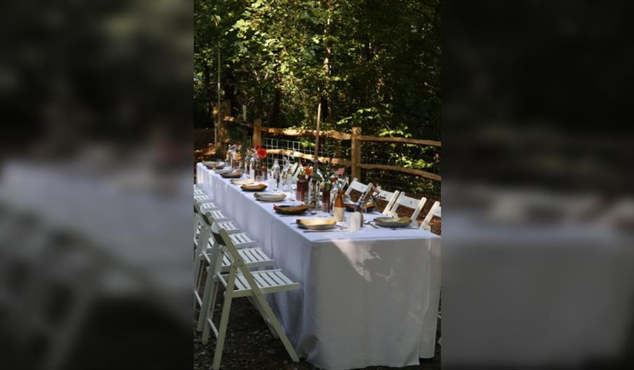 Forest Feast: Firelight Dining by Simon Stallard
