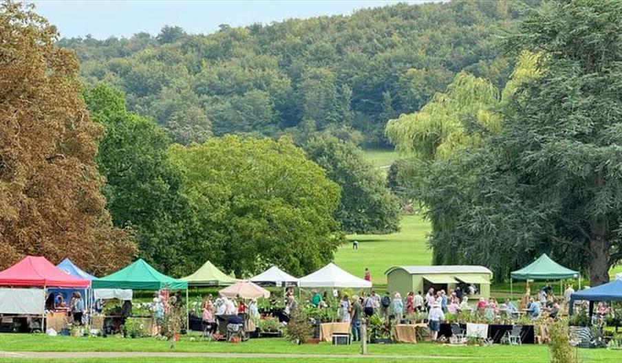 West Dean Gardens Autumn Plant Fair