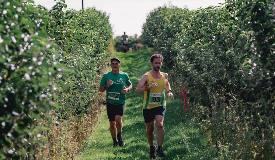 Rye Ancient Trails 30k & 15k