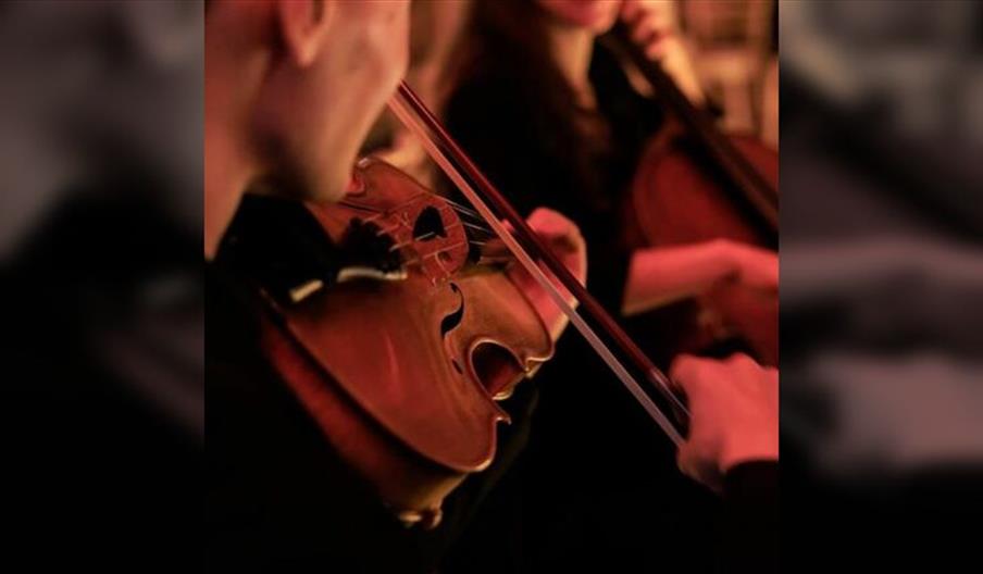 Mansion Concerts: Vivaldi Four Seasons