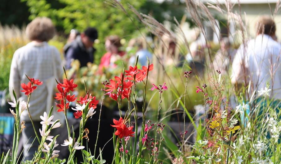 Specialist Autumn Plant Fair