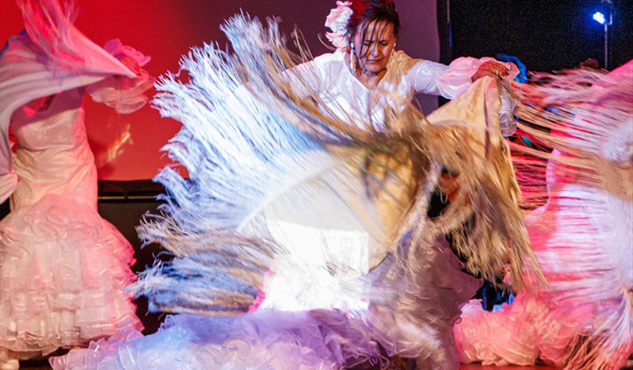 Picasso, his Life and loves by Cancion Gitana