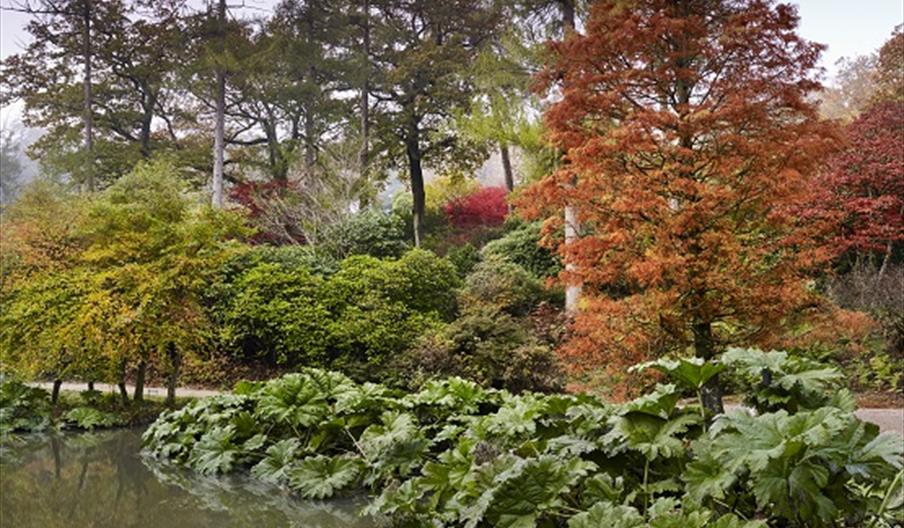autumnal view of trees and shrubbery