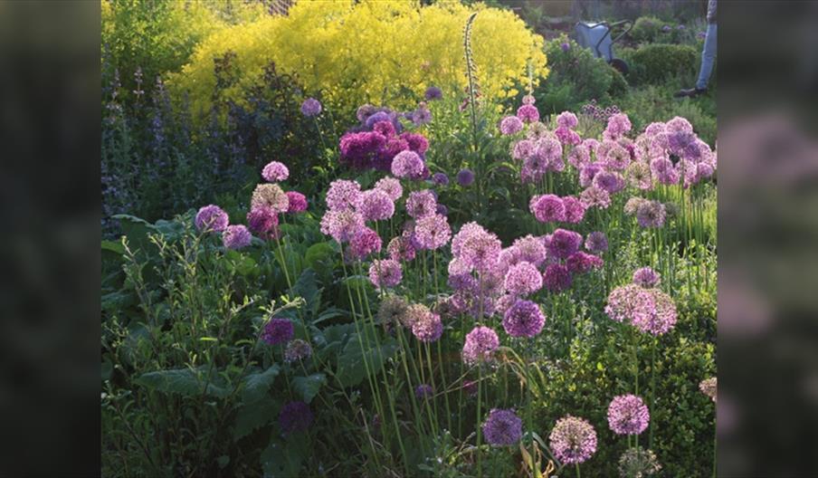 Gardening a Wilder Garden Workshop