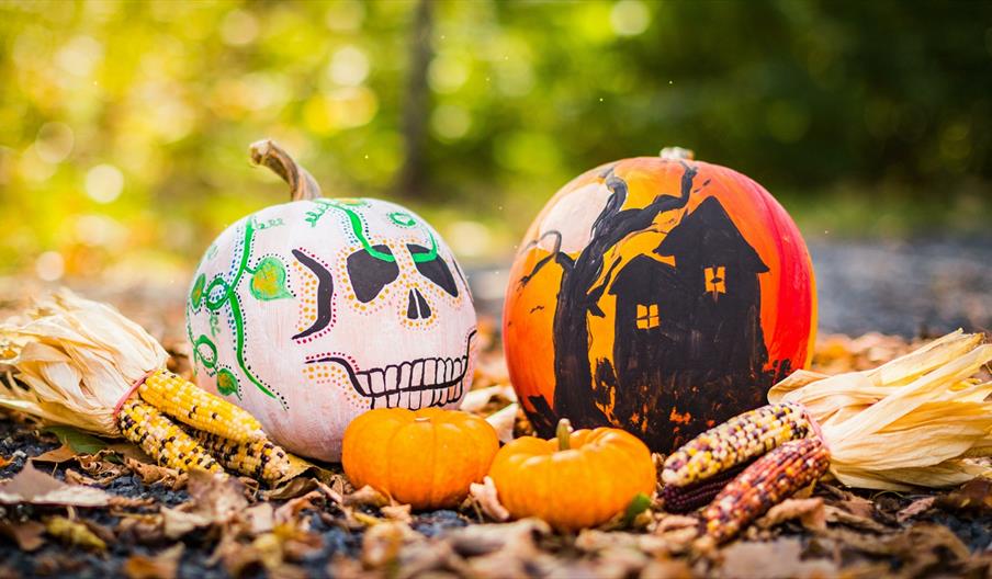 Ears of corn and pumpkins painted like a skull and haunted house