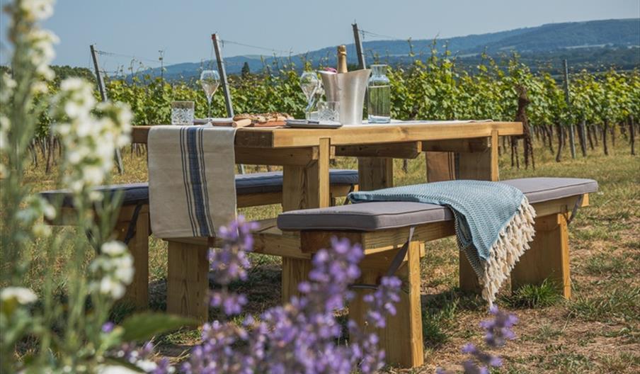 Feast in the Vines with Roebuck Estates