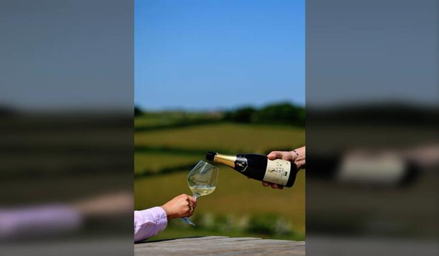 IWD Female Founders Long Lunch