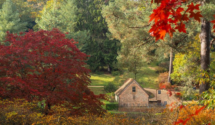 Autumn Walk with Our Head Gardener