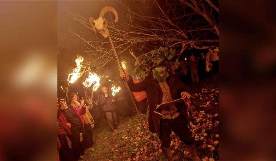 Bignose & Beardy Wassail