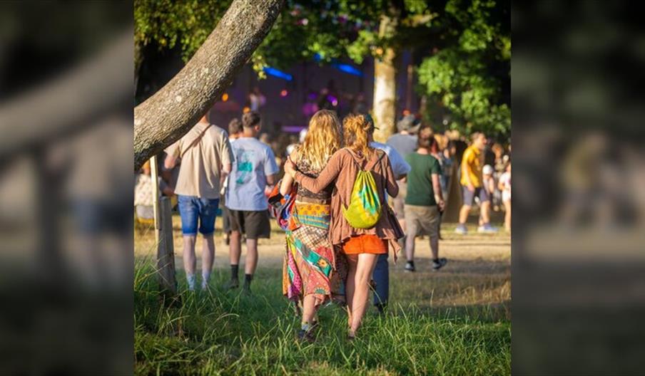 Good Vibrations Society