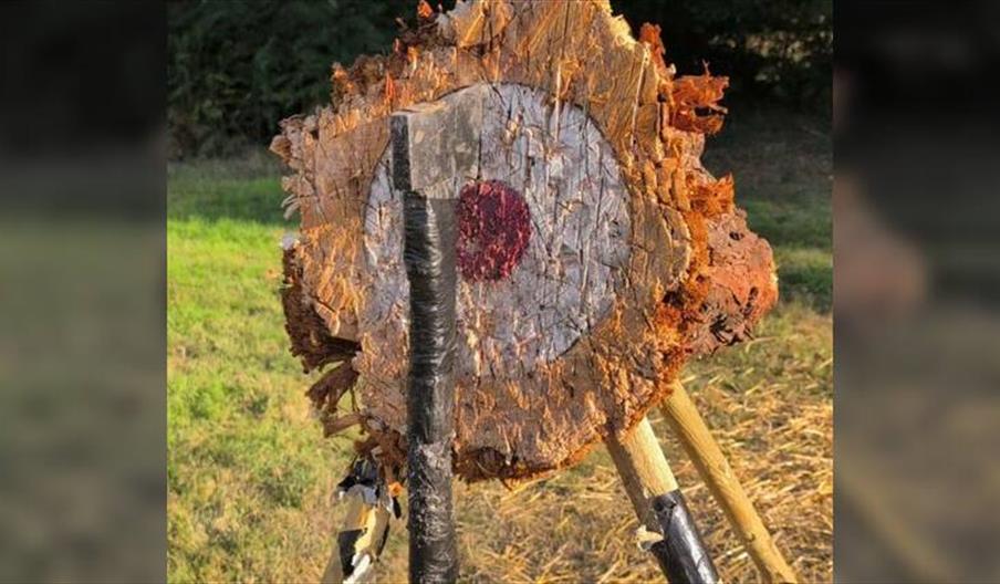 A Wild Day Out With Odin's Wolves