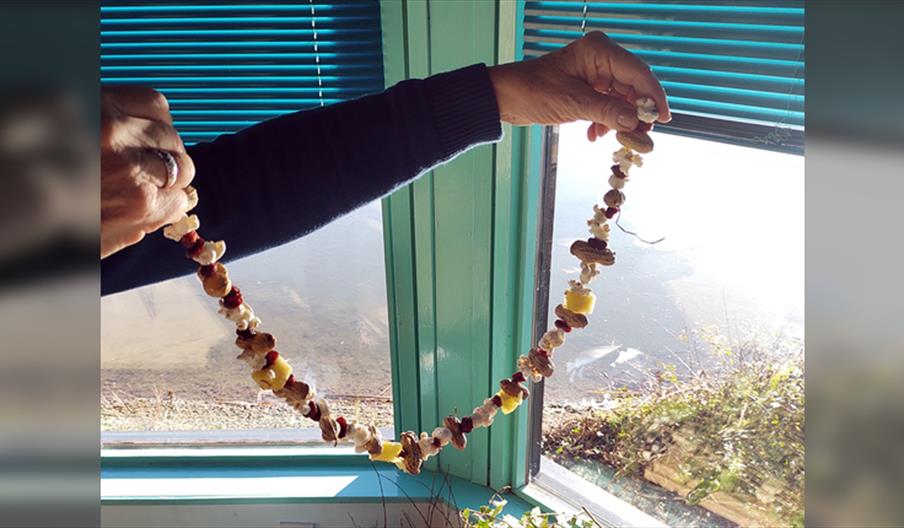 Feed the Birds Workshop