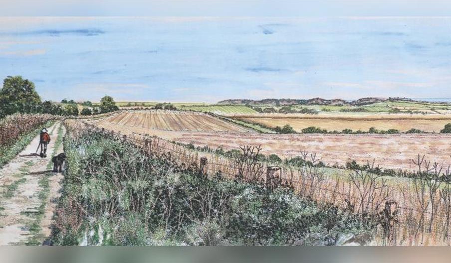 Southdowns Creative Stitchers: 50 Years of Stitch