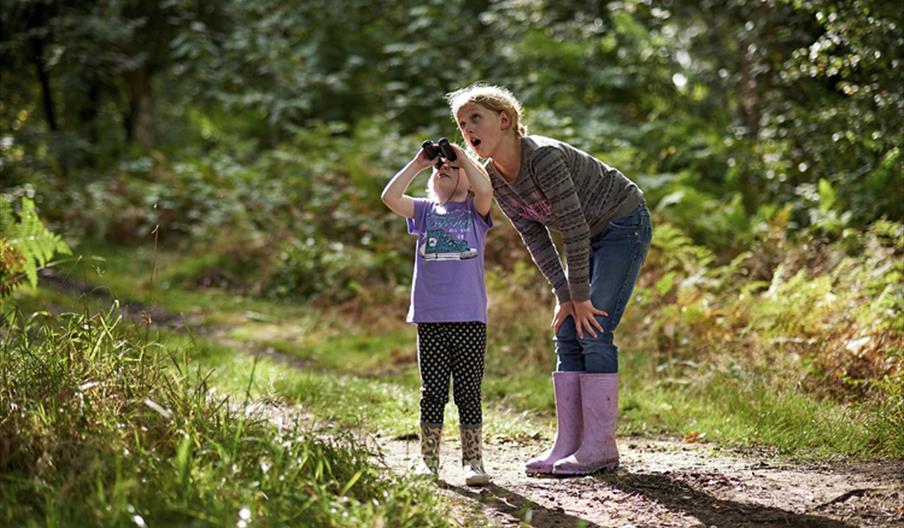 Eggstraordinary Birds & crafts