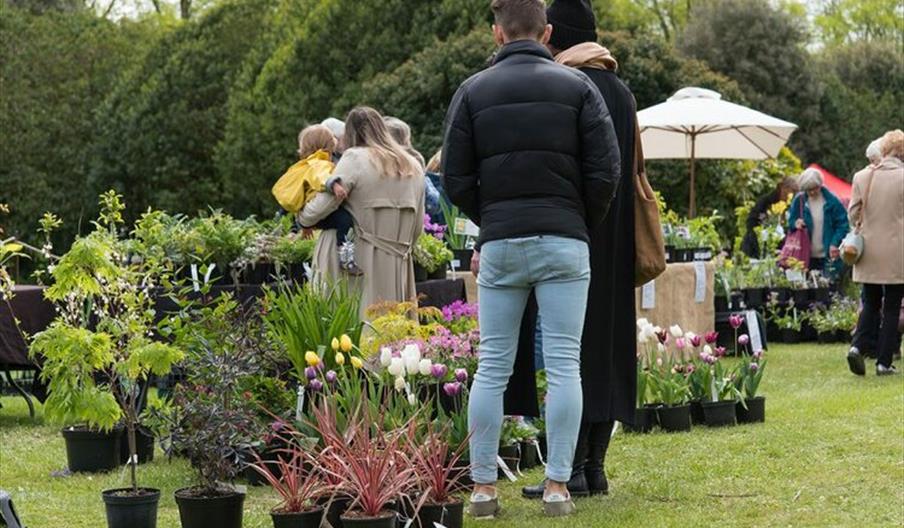 Plant Fair