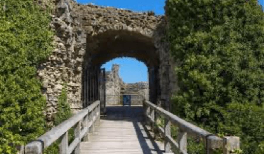 Guided Walk of Historic Pevensey Castle Outer Bailey