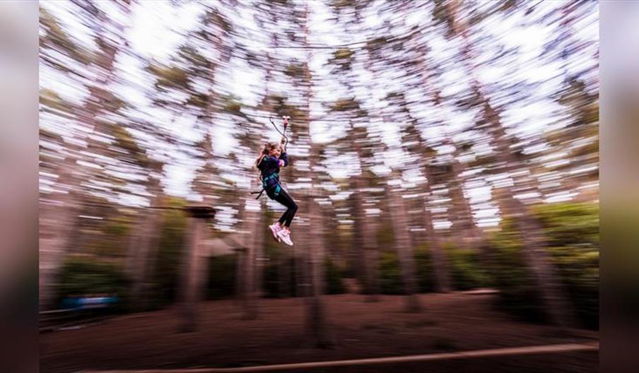 October Half Term at Go Ape Crawley