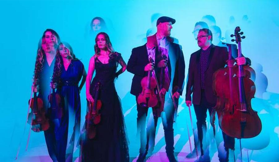 Vitamin String Quartet