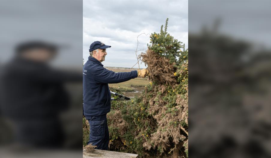 Chichester Harbour Work Party - Fishbourne Meadows