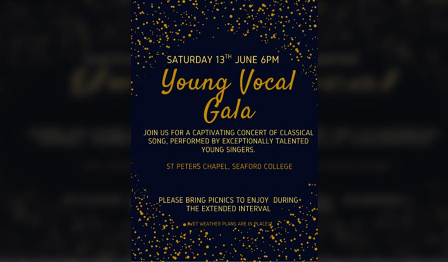 The Young Vocal Gala