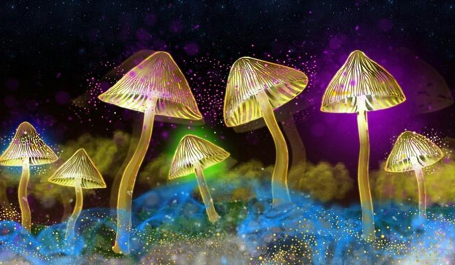 The Science Of Psychedelics With Dr David Luke