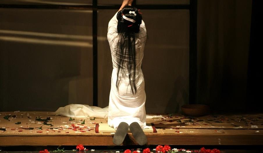 Open Air Opera - Madam Butterfly