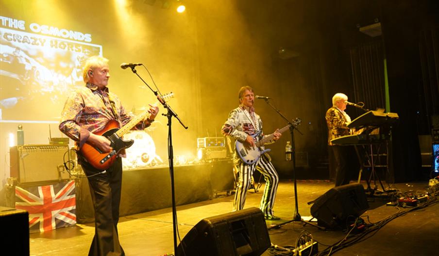 Counterfeit Sixties Show