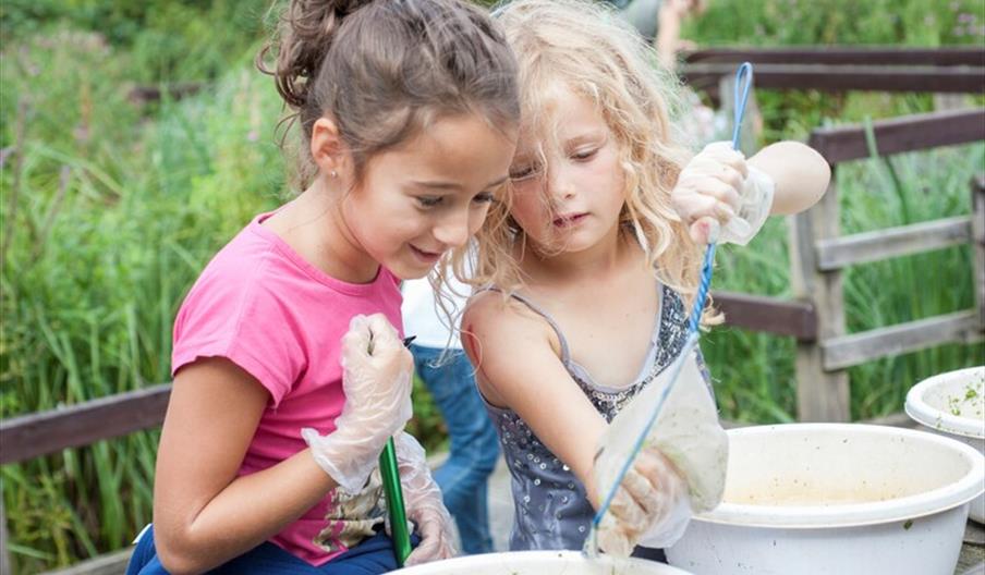 Discovery Day – Pond dipping & Bug hunting.