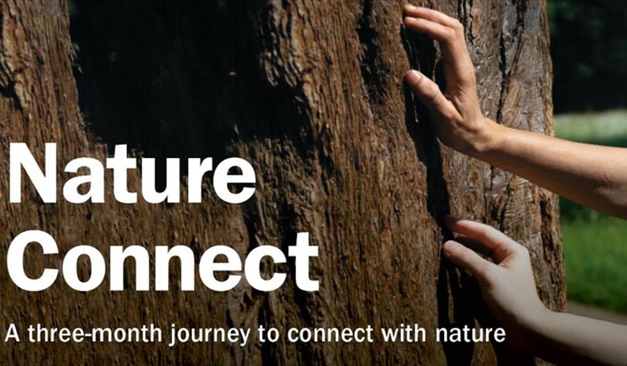 Nature Connect