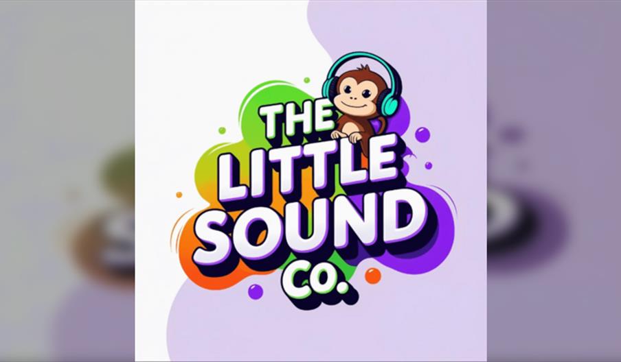 The Little Sound Company Music & Sensory Session