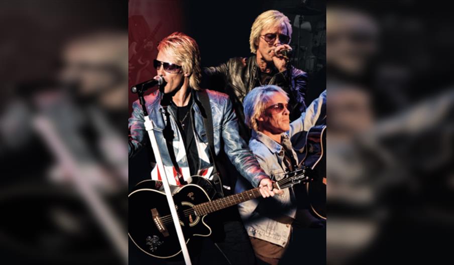 The Bon Jovi Experience