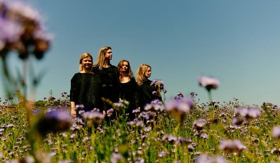 Chiaroscuro Quartet and Consone Quartet