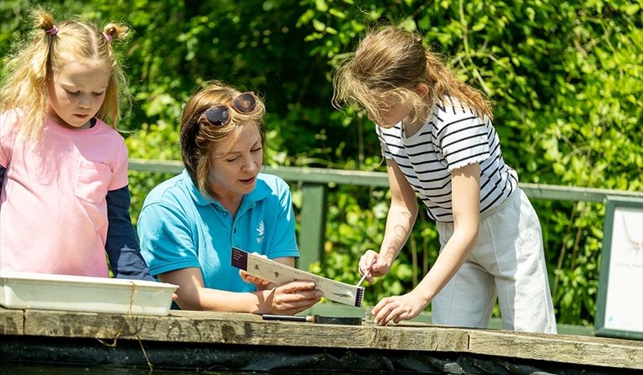 Incredible Insects Learning Session 4-7 yrs