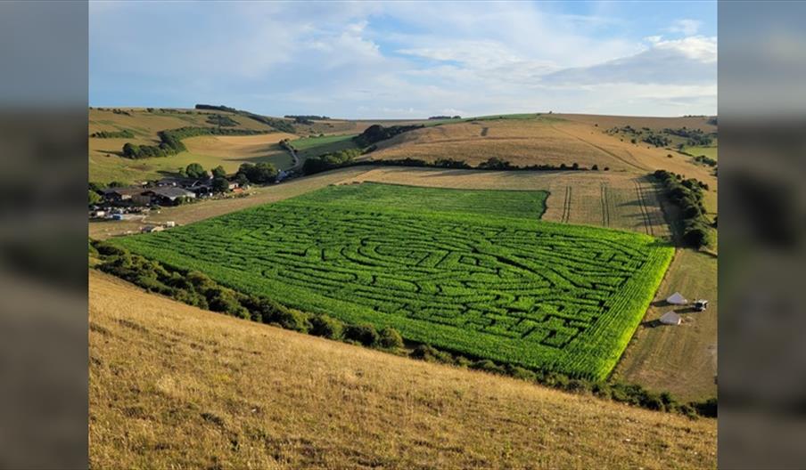 South Farm Maize Maze