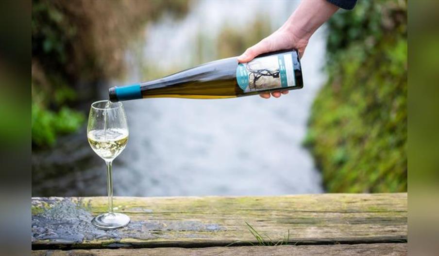 Vineyard & Winery Tour & Tastings