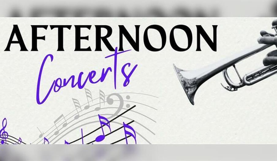 Afternoon Concert 07/06