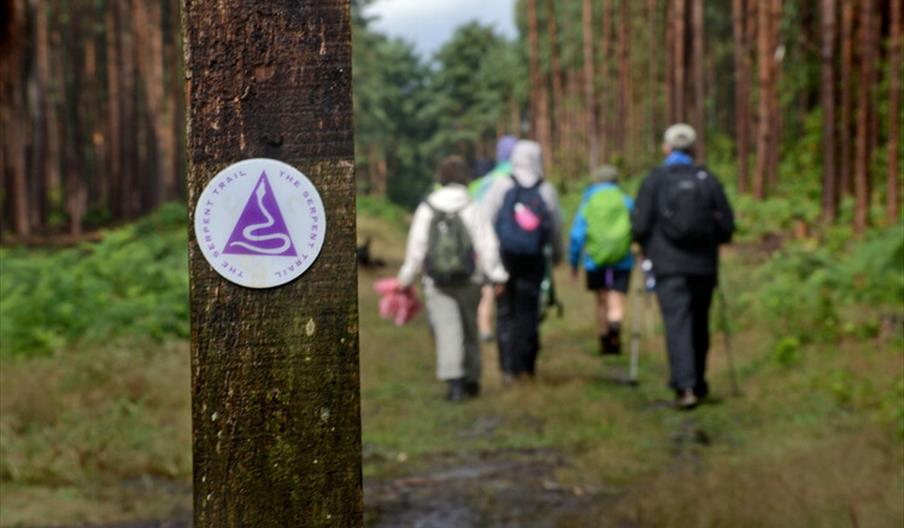 Guided Serpent Trail Walks, Summer 2025