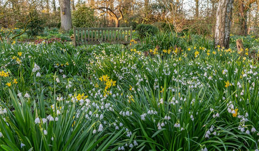 Spring Garden Tutorial